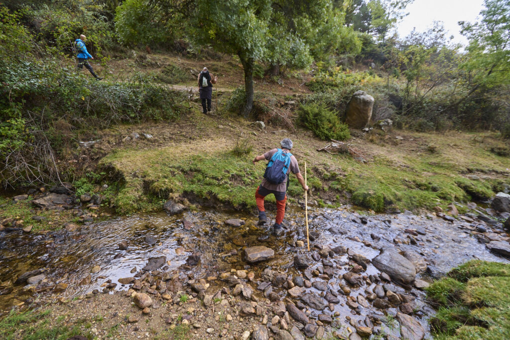 LOS CERRILLOS Y FUENTE DE LA CEJA DESDE BRAOJOS.