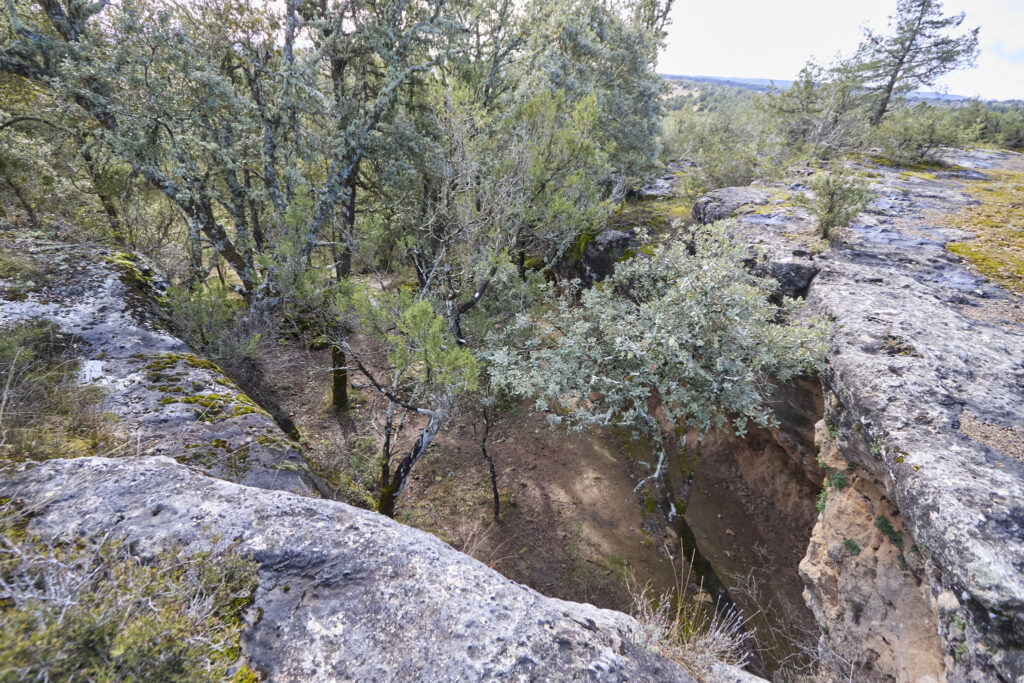 CIUDAD ENCANTADA DE TAMAJÓN Y CAMINO DEL ARCIPRESTE