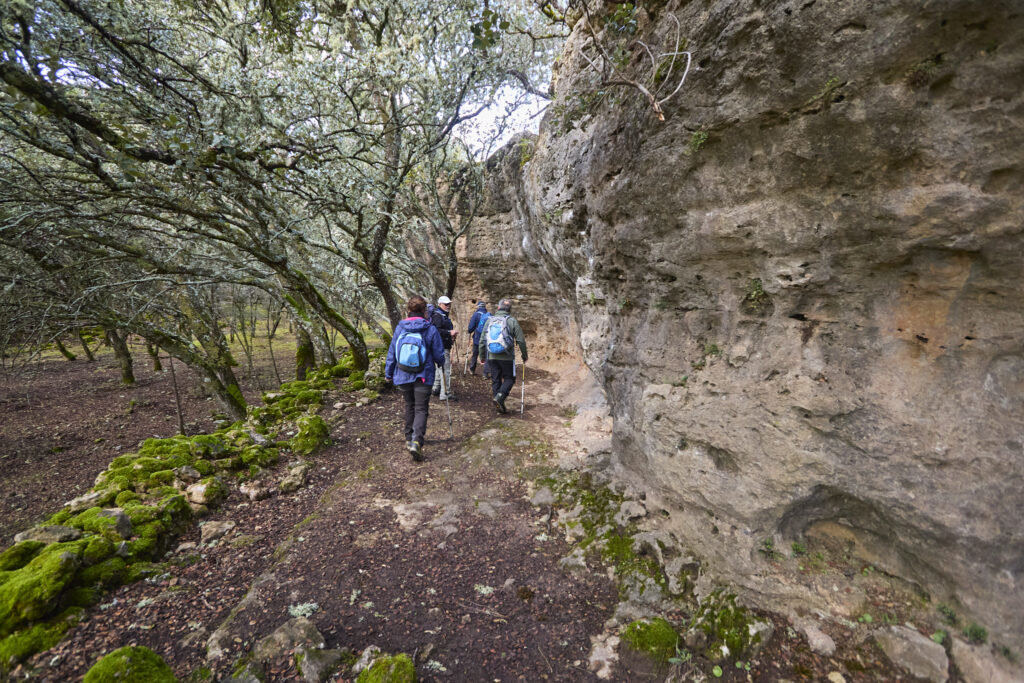 CIUDAD ENCANTADA DE TAMAJÓN Y CAMINO DEL ARCIPRESTE