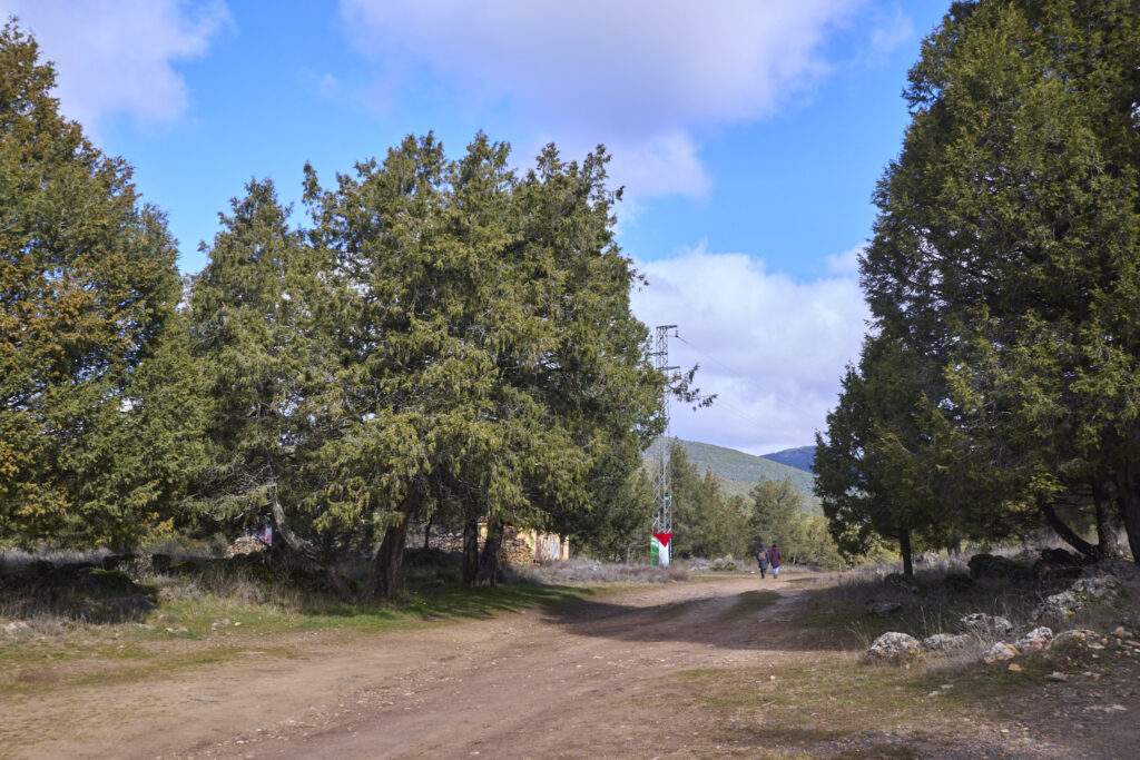 CIUDAD ENCANTADA DE TAMAJÓN Y CAMINO DEL ARCIPRESTE