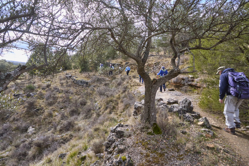 CIUDAD ENCANTADA DE TAMAJÓN Y CAMINO DEL ARCIPRESTE