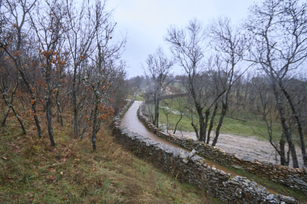 “Crucero” Paredes de Buitrago - Prádena del Rincón