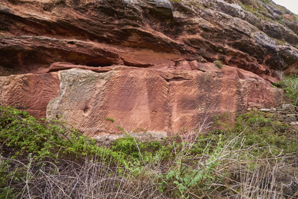 ¡CARRATIERMES  NO NOS QUIERE, VAMOS A BERLANGA! (O EL DILUVIO Y EL LAGARTO)