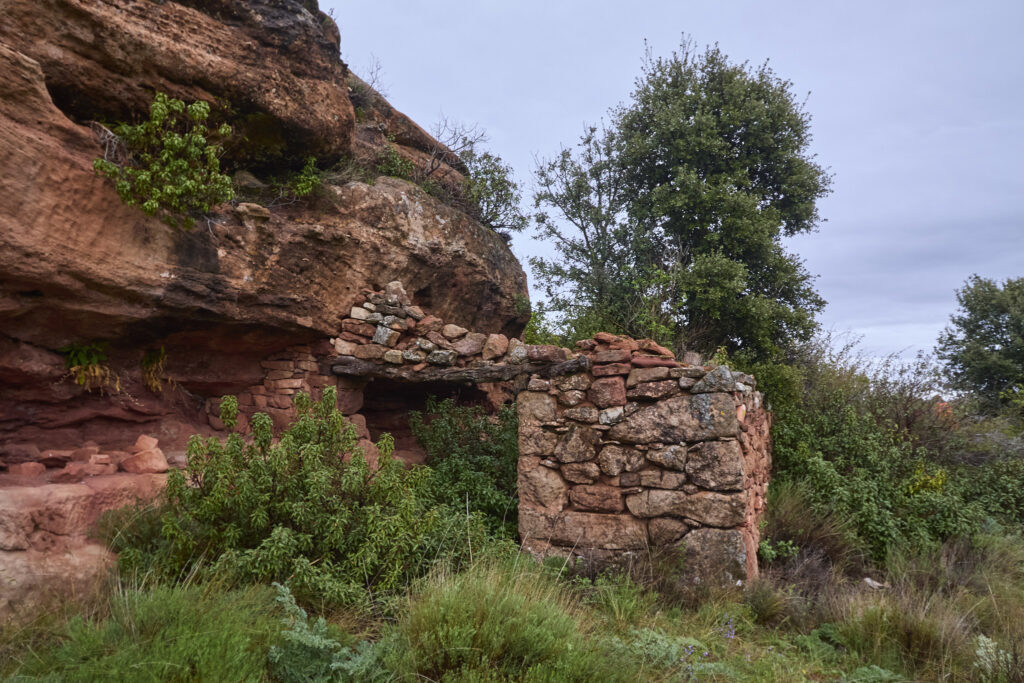 ¡CARRATIERMES  NO NOS QUIERE, VAMOS A BERLANGA! (O EL DILUVIO Y EL LAGARTO)