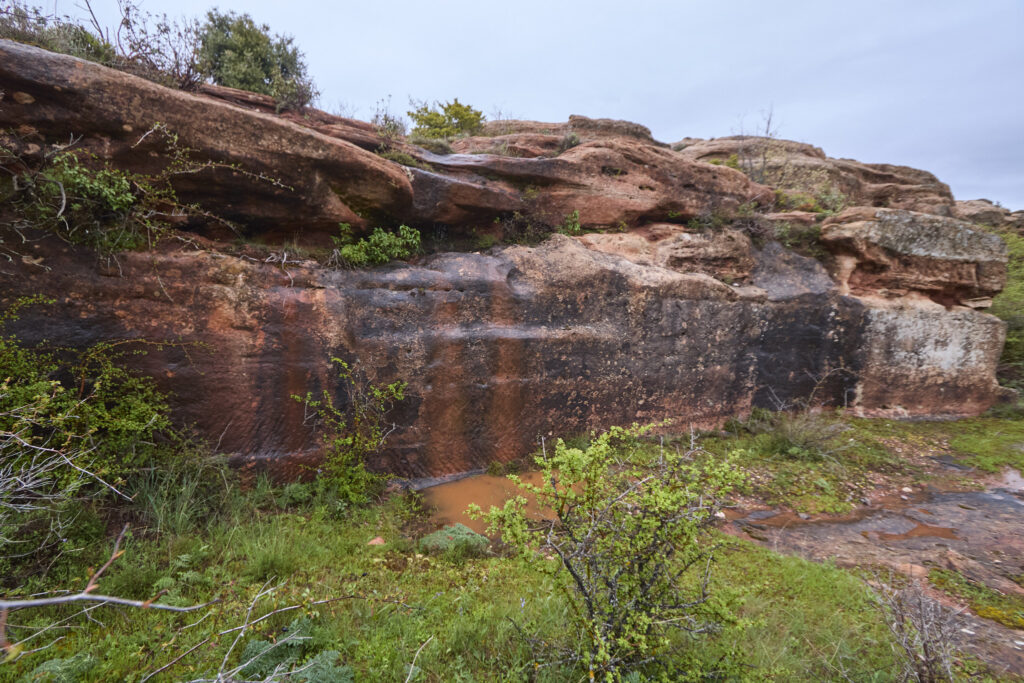 ¡CARRATIERMES  NO NOS QUIERE, VAMOS A BERLANGA! (O EL DILUVIO Y EL LAGARTO)