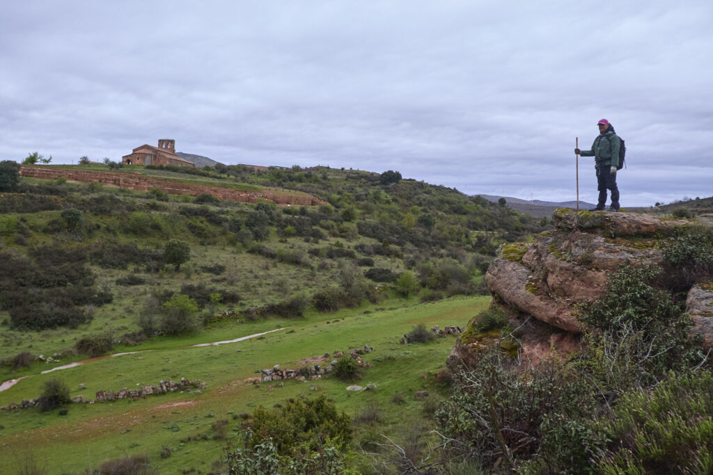 ¡CARRATIERMES  NO NOS QUIERE, VAMOS A BERLANGA! (O EL DILUVIO Y EL LAGARTO)