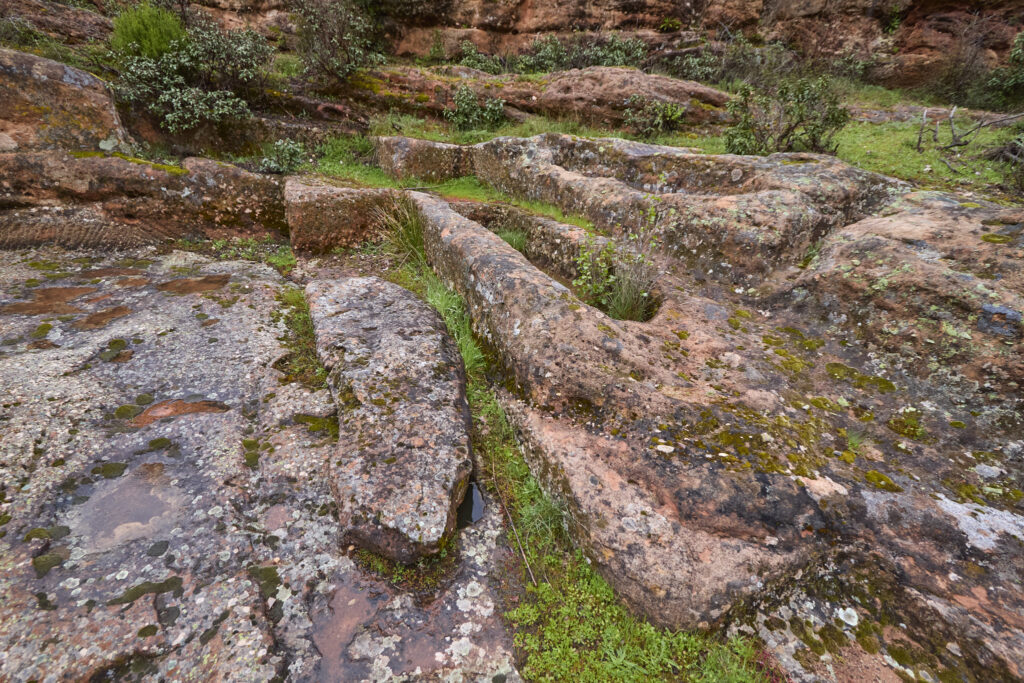 ¡CARRATIERMES  NO NOS QUIERE, VAMOS A BERLANGA! (O EL DILUVIO Y EL LAGARTO)