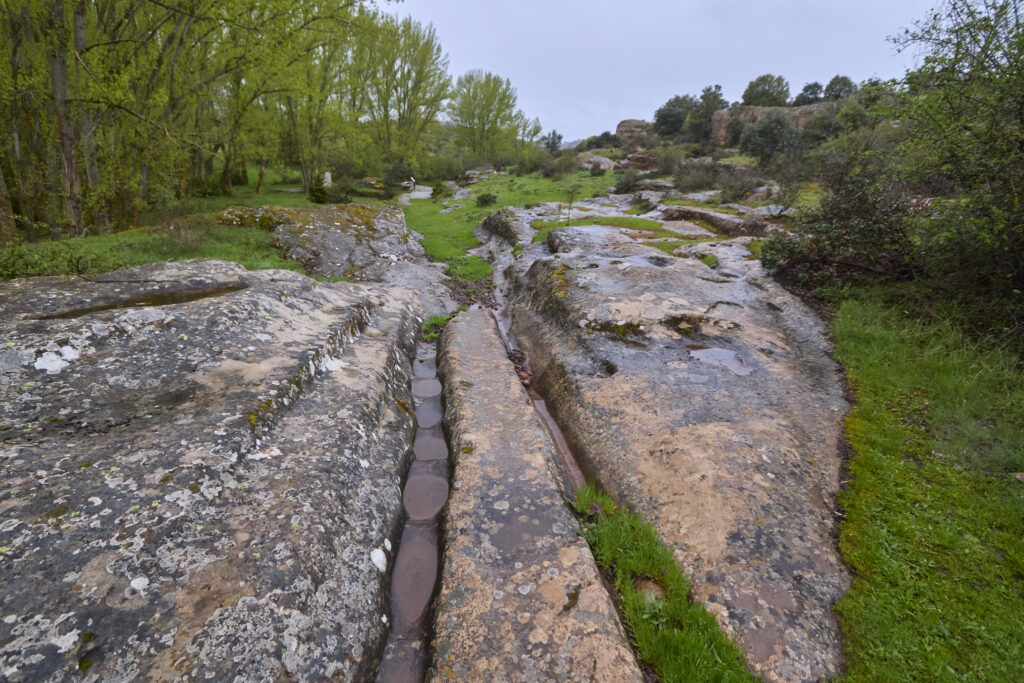 ¡CARRATIERMES  NO NOS QUIERE, VAMOS A BERLANGA! (O EL DILUVIO Y EL LAGARTO)
