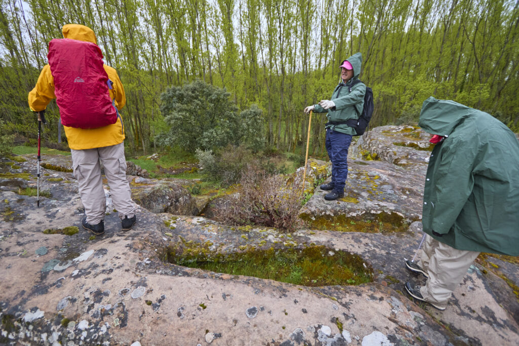 ¡CARRATIERMES  NO NOS QUIERE, VAMOS A BERLANGA! (O EL DILUVIO Y EL LAGARTO)