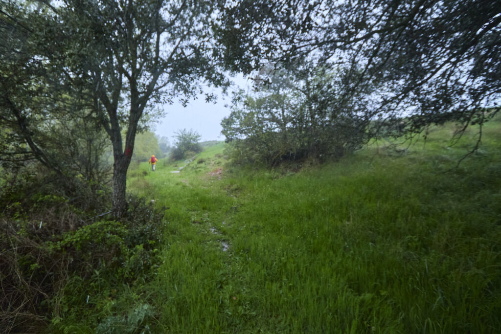 ¡CARRATIERMES  NO NOS QUIERE, VAMOS A BERLANGA! (O EL DILUVIO Y EL LAGARTO)