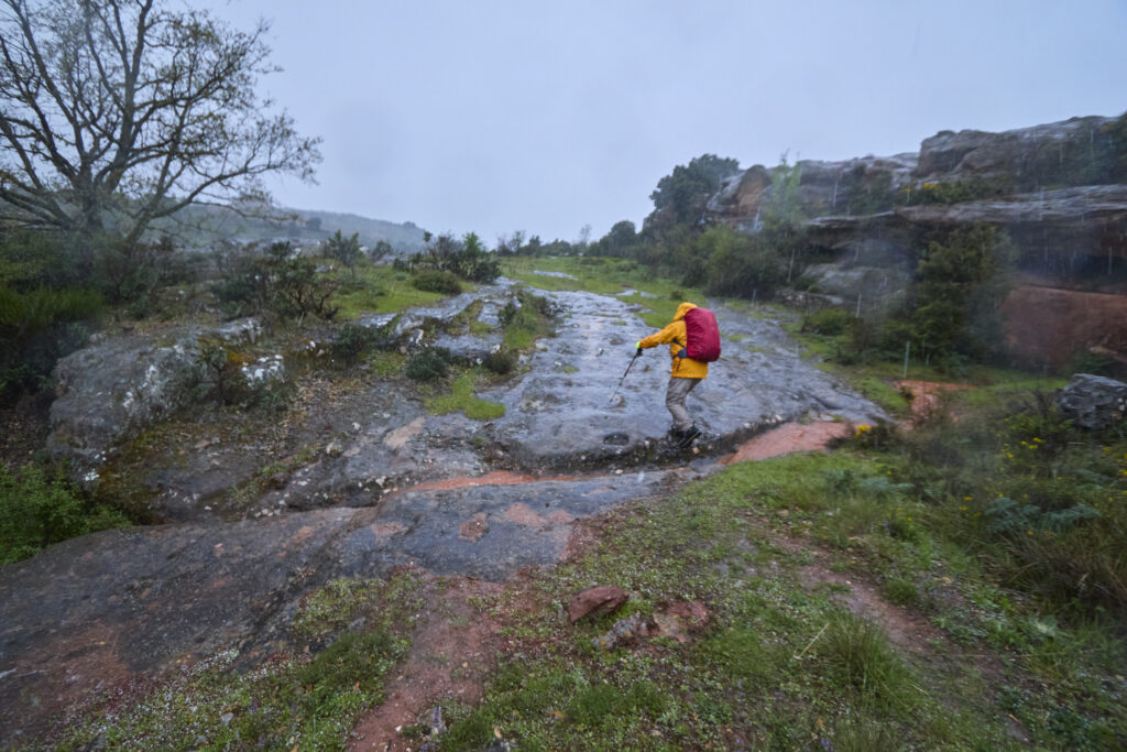 ¡CARRATIERMES  NO NOS QUIERE, VAMOS A BERLANGA! (O EL DILUVIO Y EL LAGARTO)