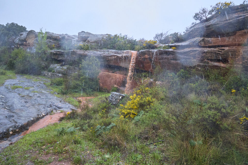 ¡CARRATIERMES  NO NOS QUIERE, VAMOS A BERLANGA! (O EL DILUVIO Y EL LAGARTO)