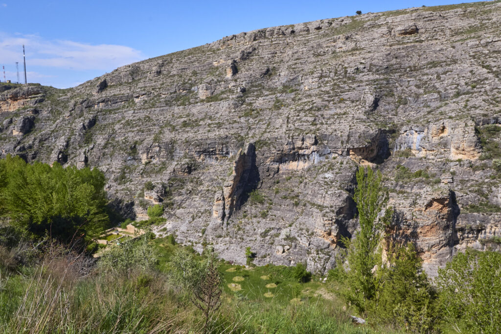 ¡CARRATIERMES  NO NOS QUIERE, VAMOS A BERLANGA! (O EL DILUVIO Y EL LAGARTO)