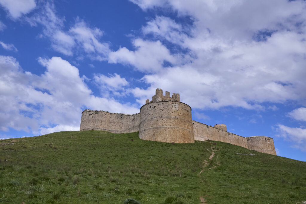 ¡CARRATIERMES  NO NOS QUIERE, VAMOS A BERLANGA! (O EL DILUVIO Y EL LAGARTO)