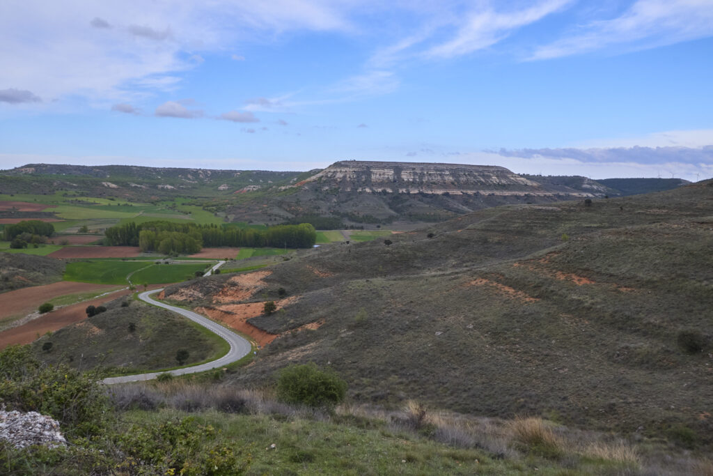 ¡CARRATIERMES  NO NOS QUIERE, VAMOS A BERLANGA! (O EL DILUVIO Y EL LAGARTO)