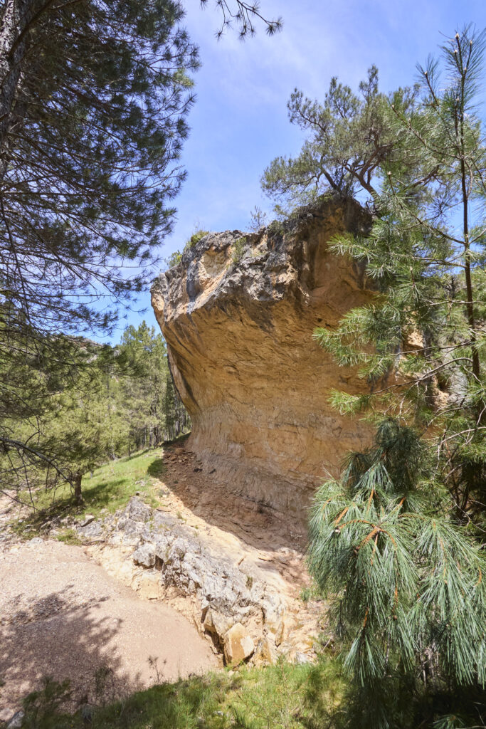 UN BARRANCO TORTUOSO