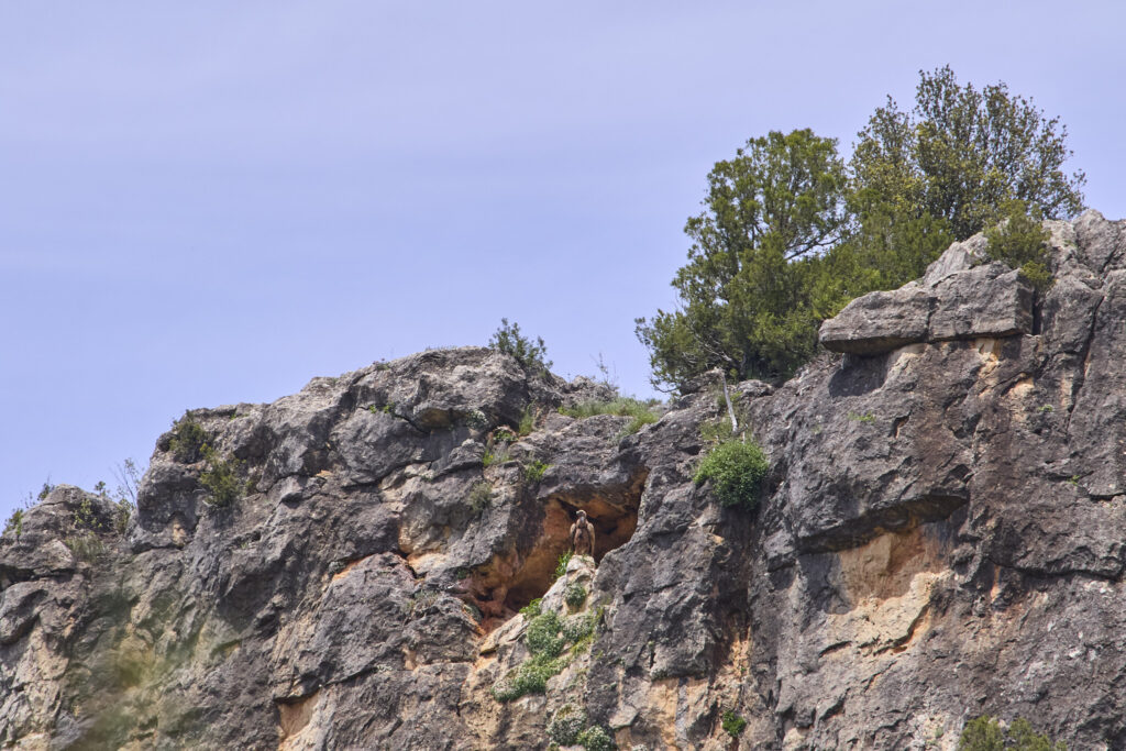 UN BARRANCO TORTUOSO