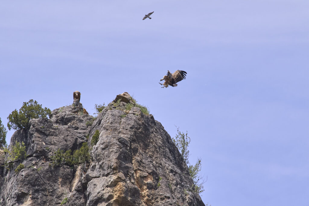 UN BARRANCO TORTUOSO
