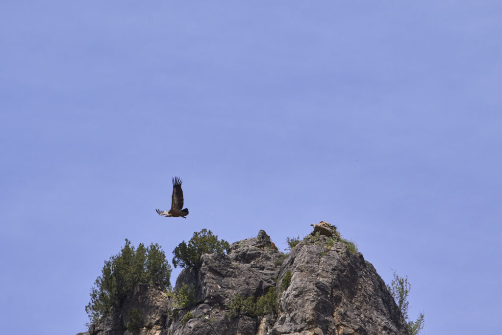 UN BARRANCO TORTUOSO