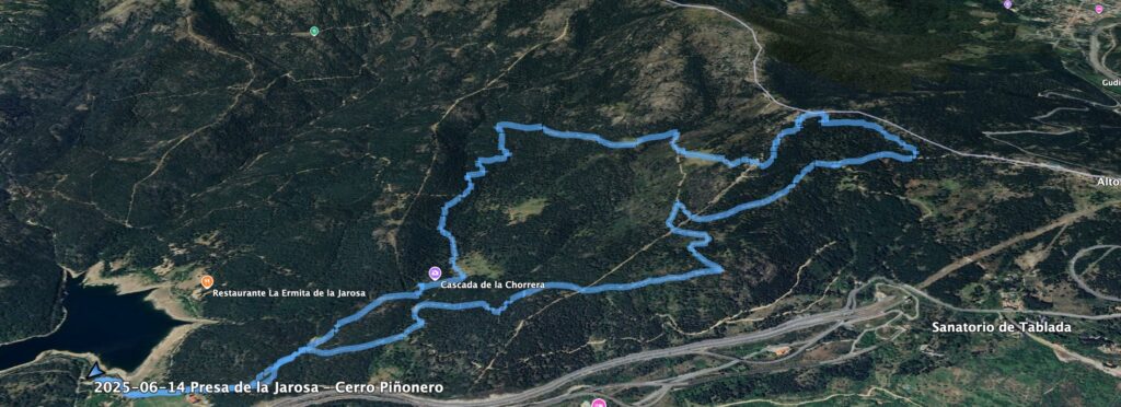 LA JAROSA - CERRO PIÑONERO
