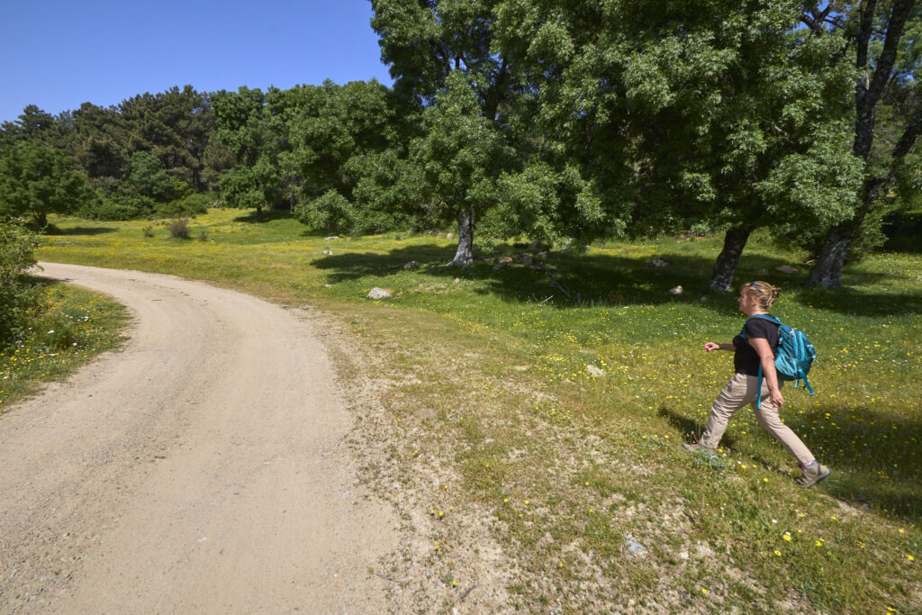 CIRCULAR DE 15km EN EL ESCORIAL