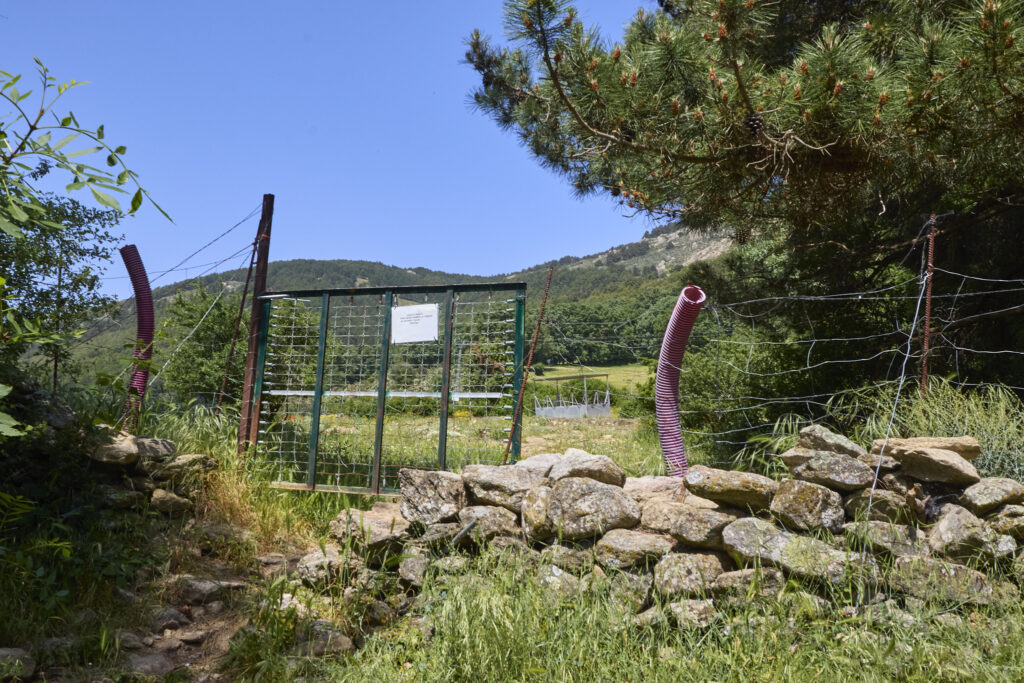 CIRCULAR DE 15km EN EL ESCORIAL