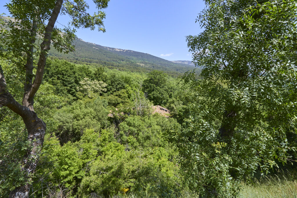 CIRCULAR DE 15km EN EL ESCORIAL