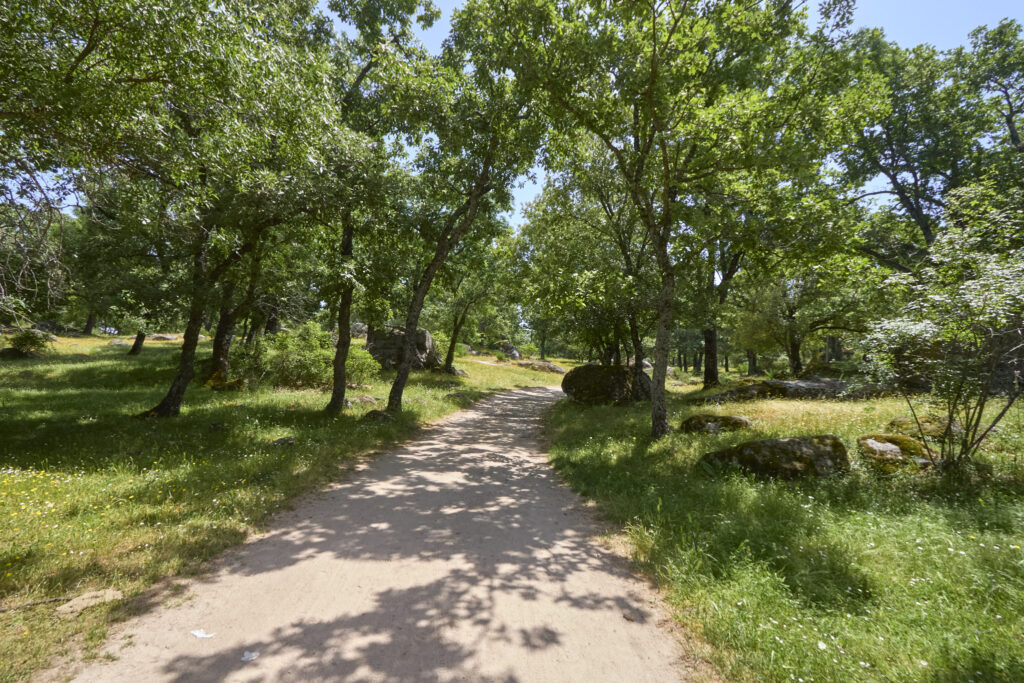 CIRCULAR DE 15km EN EL ESCORIAL