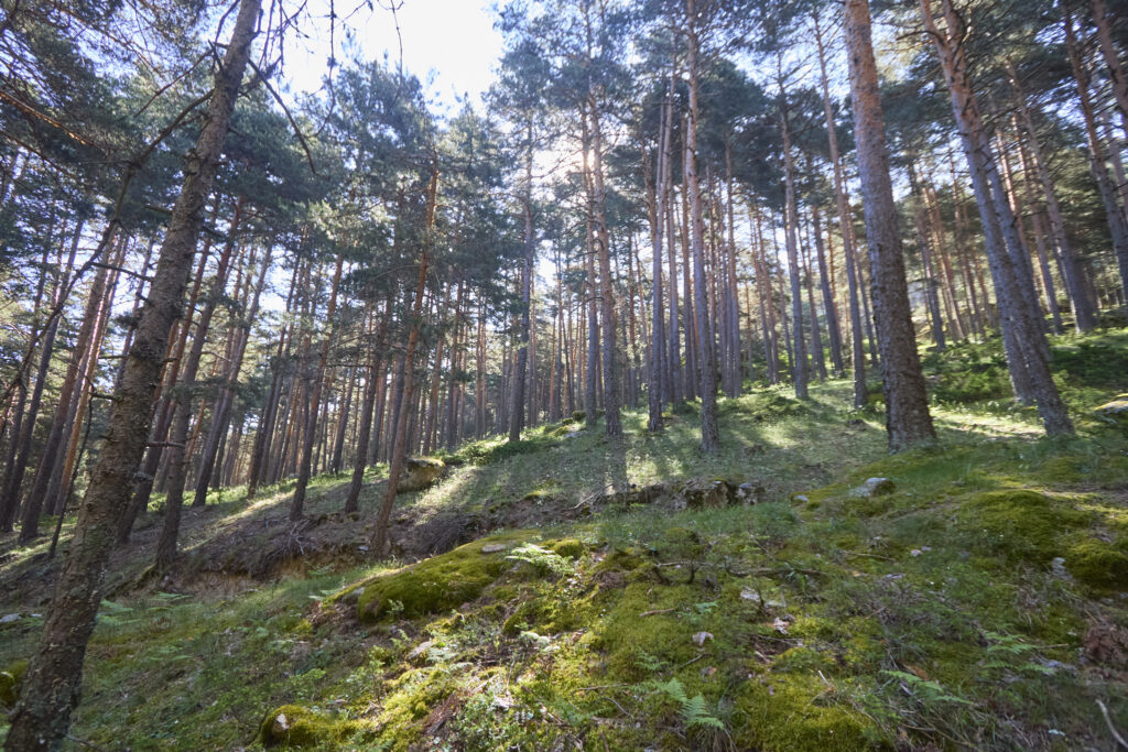 LAS LAGUNILLAS DE LA SIERRA DE MALAGÓN