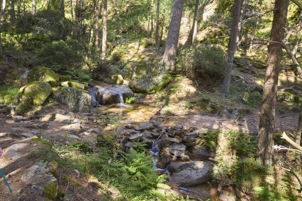 LAS LAGUNILLAS DE LA SIERRA DE MALAGÓN