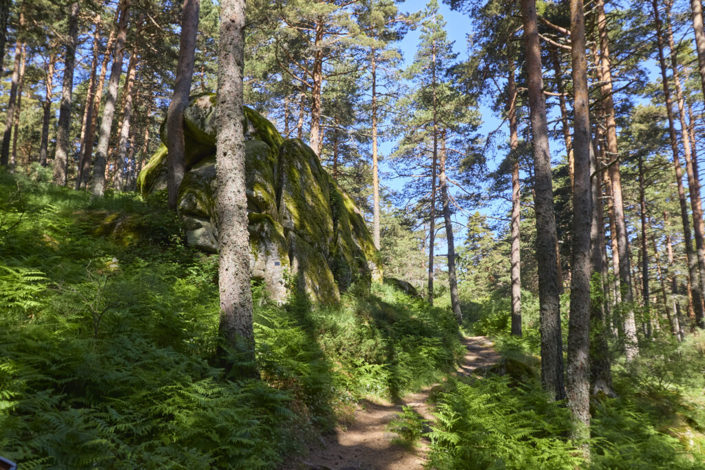 LAS LAGUNILLAS DE LA SIERRA DE MALAGÓN