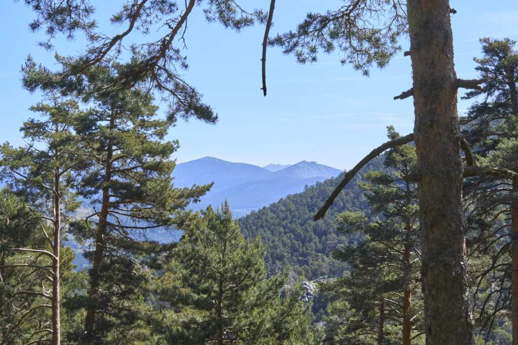 LAS LAGUNILLAS DE LA SIERRA DE MALAGÓN