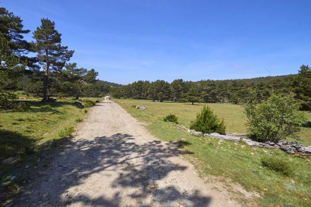 LAS LAGUNILLAS DE LA SIERRA DE MALAGÓN