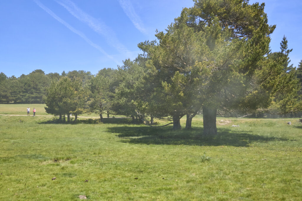 LAS LAGUNILLAS DE LA SIERRA DE MALAGÓN