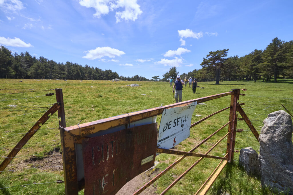 LAS LAGUNILLAS DE LA SIERRA DE MALAGÓN