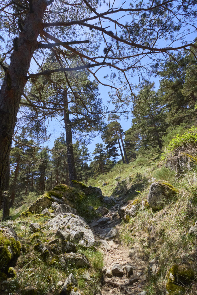 LAS LAGUNILLAS DE LA SIERRA DE MALAGÓN