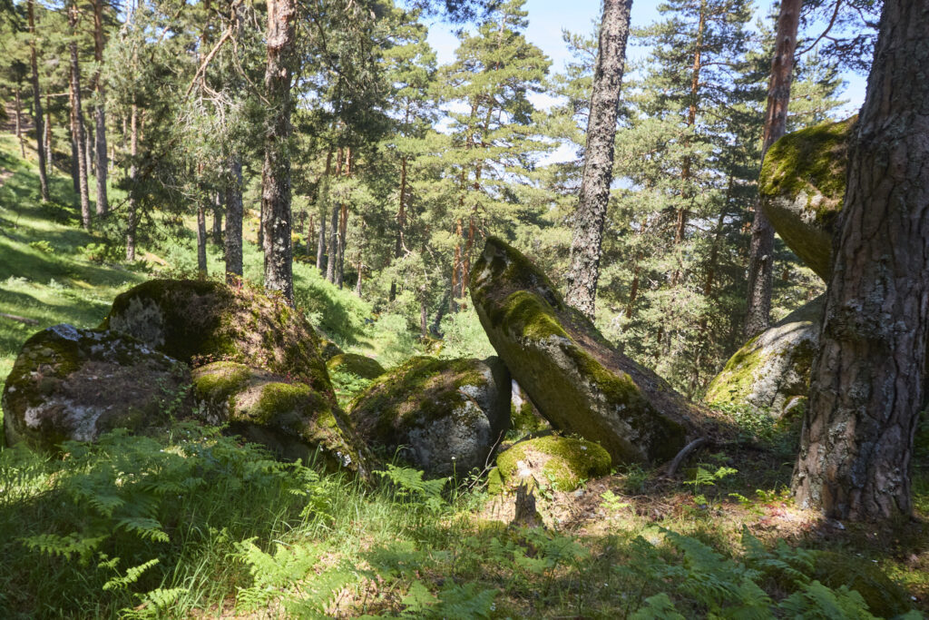 LAS LAGUNILLAS DE LA SIERRA DE MALAGÓN