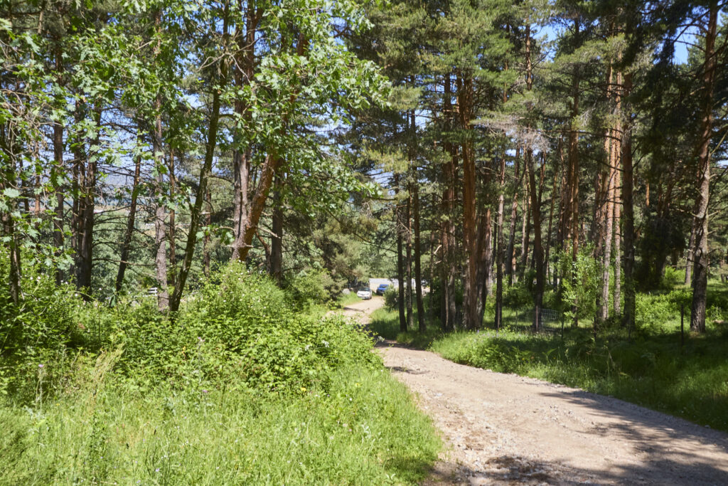 LAS LAGUNILLAS DE LA SIERRA DE MALAGÓN