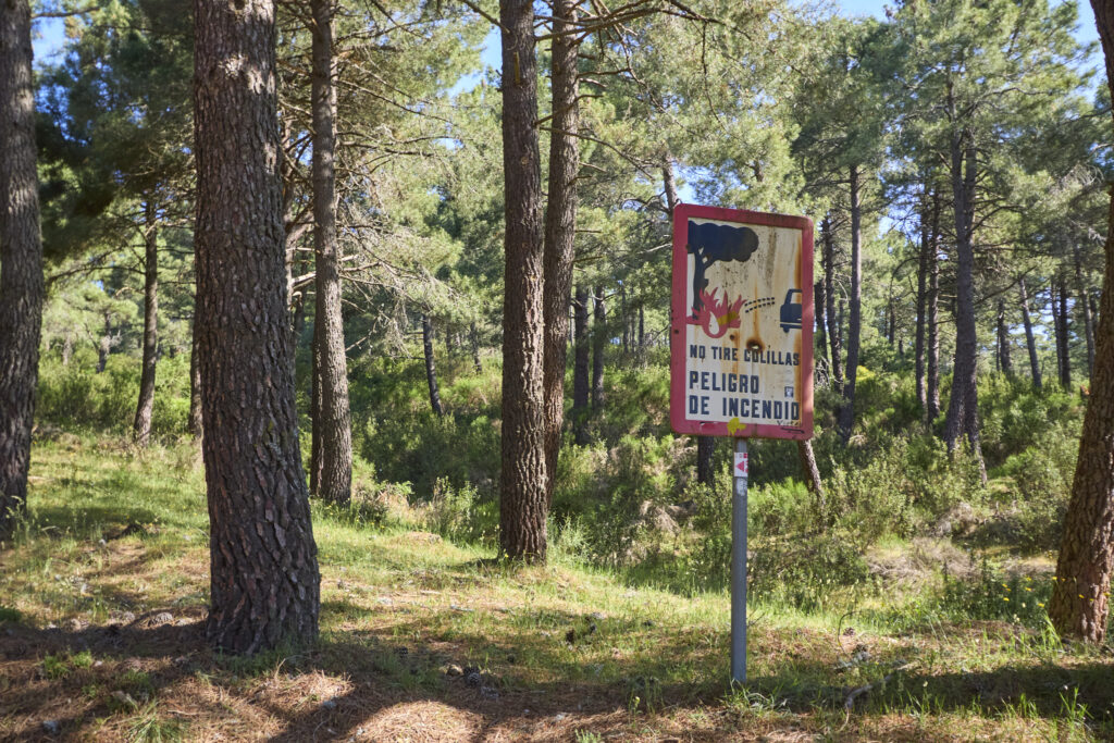 LA JAROSA - CERRO PIÑONERO