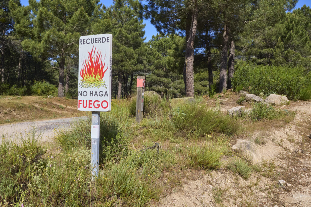 LA JAROSA - CERRO PIÑONERO