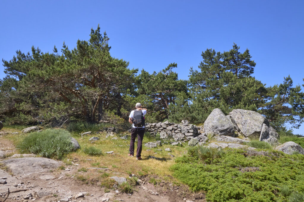 LA JAROSA - CERRO PIÑONERO
