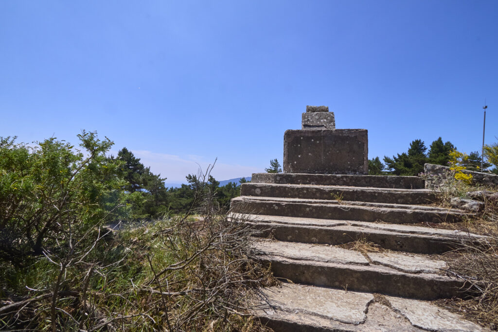LA JAROSA - CERRO PIÑONERO