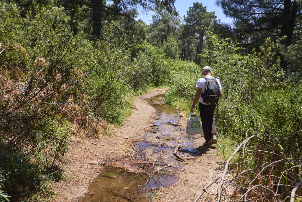 LA JAROSA - CERRO PIÑONERO