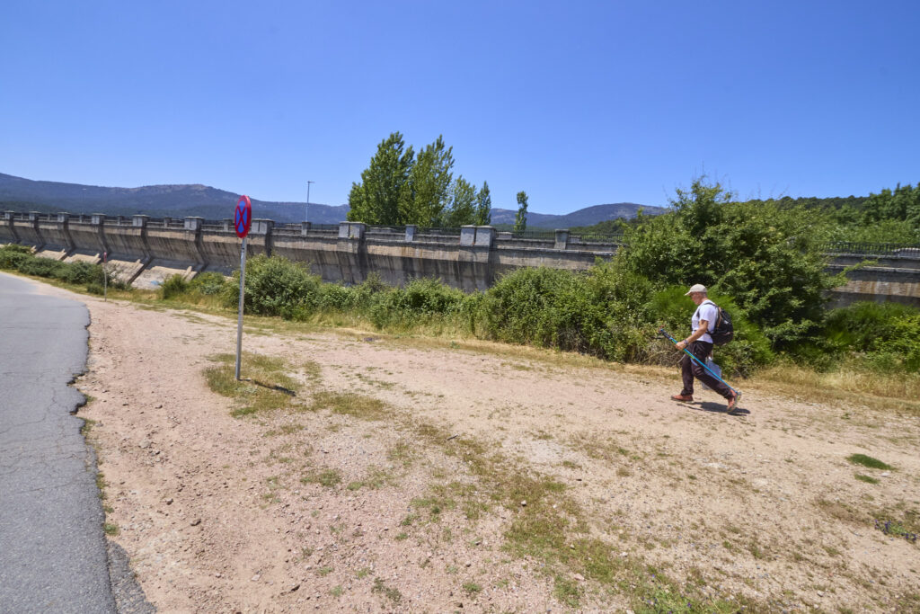 LA JAROSA - CERRO PIÑONERO