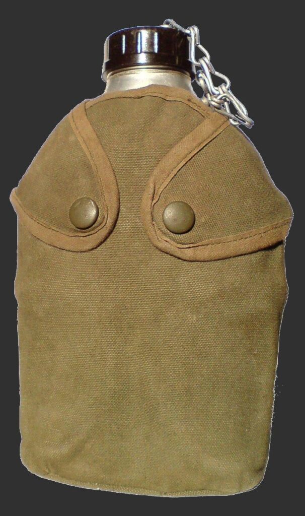 TERMOREGULACIÓN EN LA MARCHA