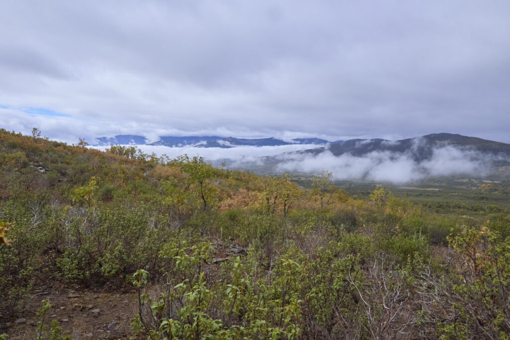NUESTRO ADIÓS AL D.G.C.