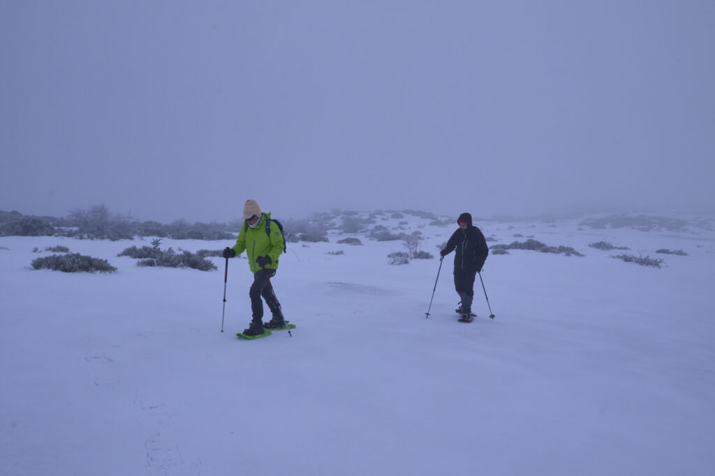 RAQUETAS EN PE&Ntilde;A ZORRILO, CL&Aacute;SICA DEL INVIERNO