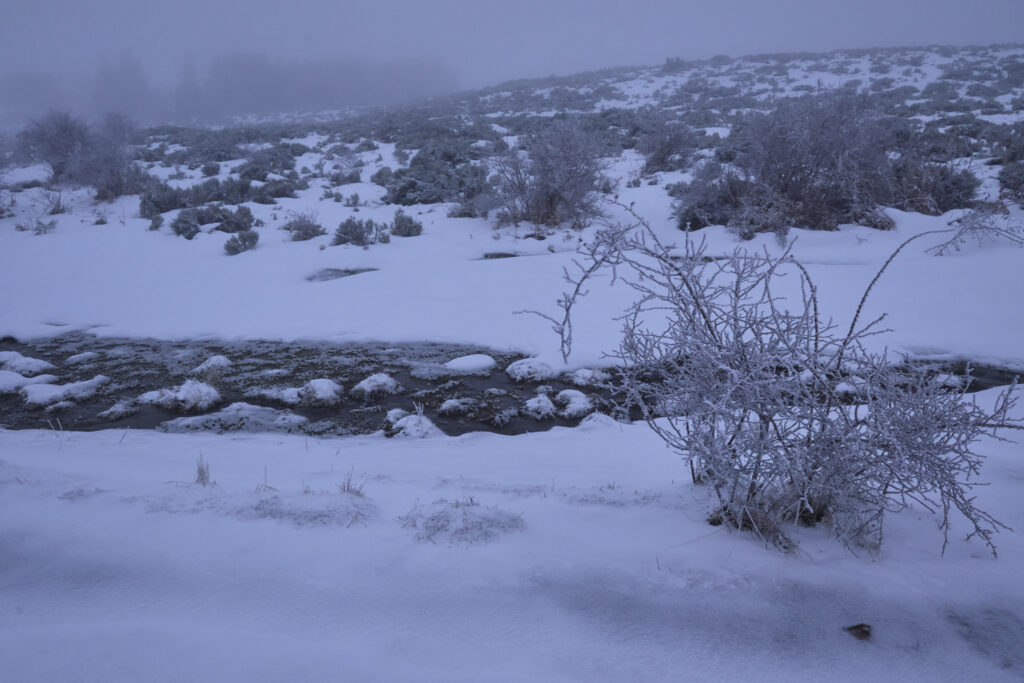 RAQUETAS EN PE&Ntilde;A ZORRILO, CL&Aacute;SICA DEL INVIERNO