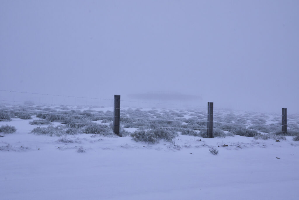 RAQUETAS EN PE&Ntilde;A ZORRILO, CL&Aacute;SICA DEL INVIERNO