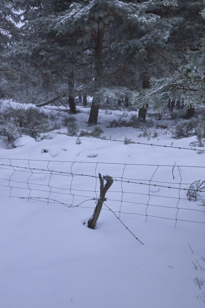 RAQUETAS EN PE&Ntilde;A ZORRILO, CL&Aacute;SICA DEL INVIERNO